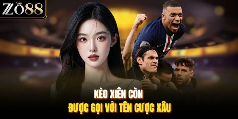 Kèo Xiên: Quy Luật Chơi Và Cách Tính Điểm Thưởng Tại ZO88