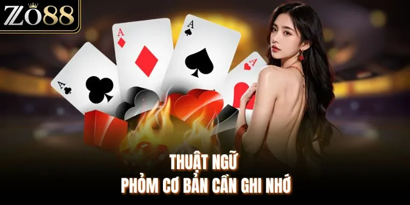 Luật Đánh Bài Phỏm Chi Tiết Cho Người Chơi Mới Bắt Đầu