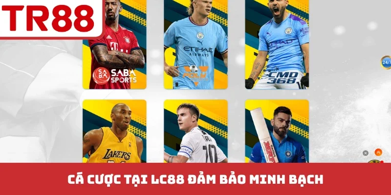 3 Trang Cá Độ Bóng Đá Uy Tín Hấp Dẫn - Hoàn Trả Vô Tận