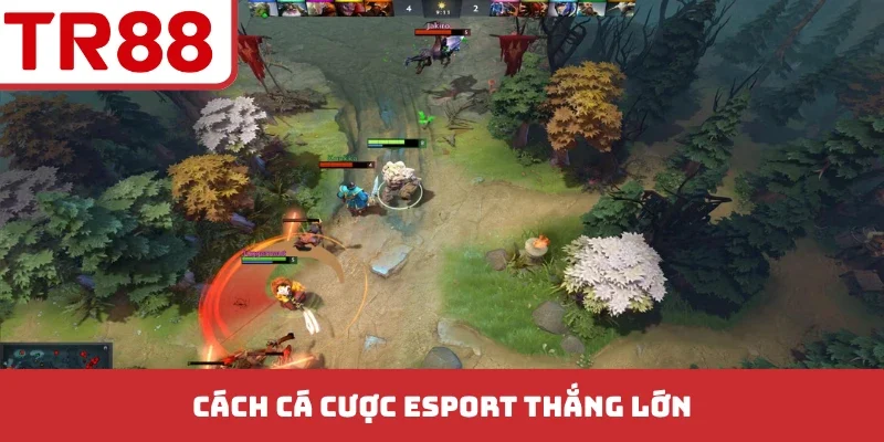 Chiến Thuật Cược Team Cửa Dưới Esport - Bí Quyết Chơi Hay