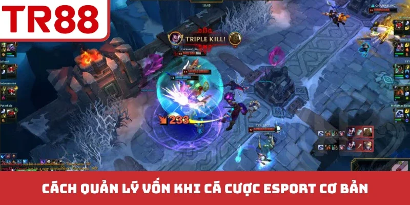 Quản Lý Vốn Khi Cá Cược Esport - Tuyệt Chiêu Tăng Lãi Siêu To