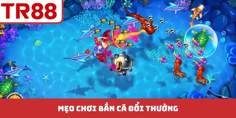 Bắn Cá Thần Tài - Thiên Đường Săn Thưởng Đại Dương