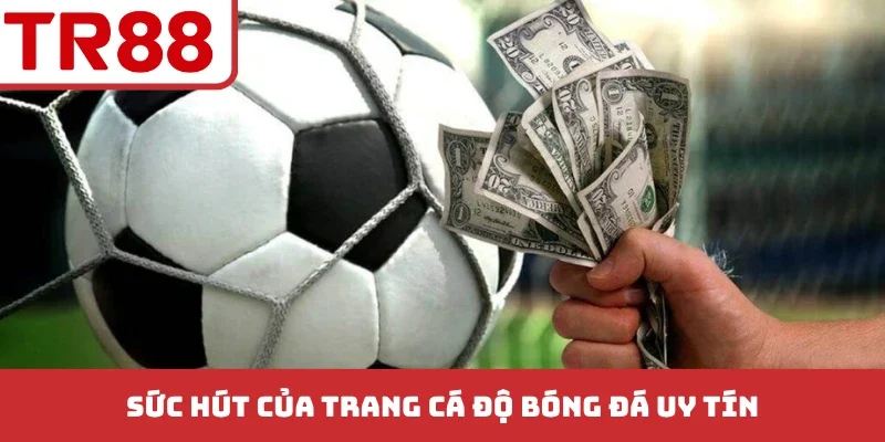 3 Trang Cá Độ Bóng Đá Uy Tín Hấp Dẫn - Hoàn Trả Vô Tận
