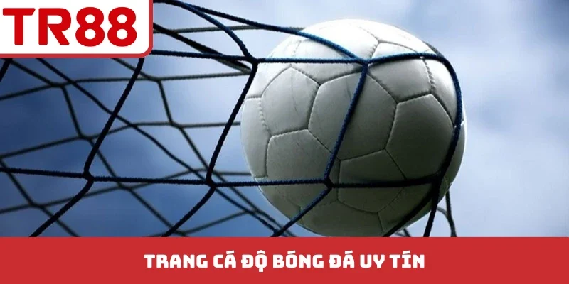 Thể Thao TR88 Đa Dạng, Tỷ Lệ Odds Cạnh Tranh Nhất