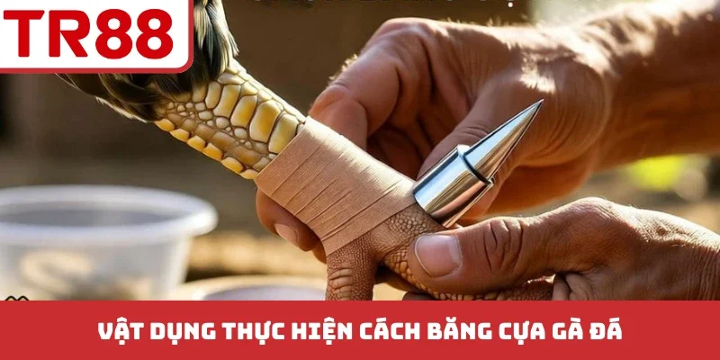 Cách Băng Cựa Gà Đá - 5 Bước Chuẩn Kỹ Thuật Chuyên Nghiệp
