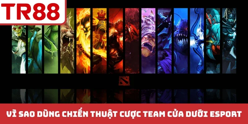 Chiến Thuật Cược Team Cửa Dưới Esport - Bí Quyết Chơi Hay