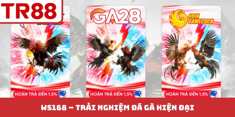 Sảnh Ws168 Đá Gà - Đỉnh Cao Các Trận Chiến Kịch Tính