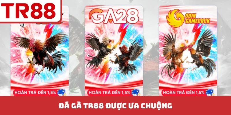 Đá Gà TR88 - Bí Kíp Soi Kèo Chuẩn Xác Từ Các Trận Đấu